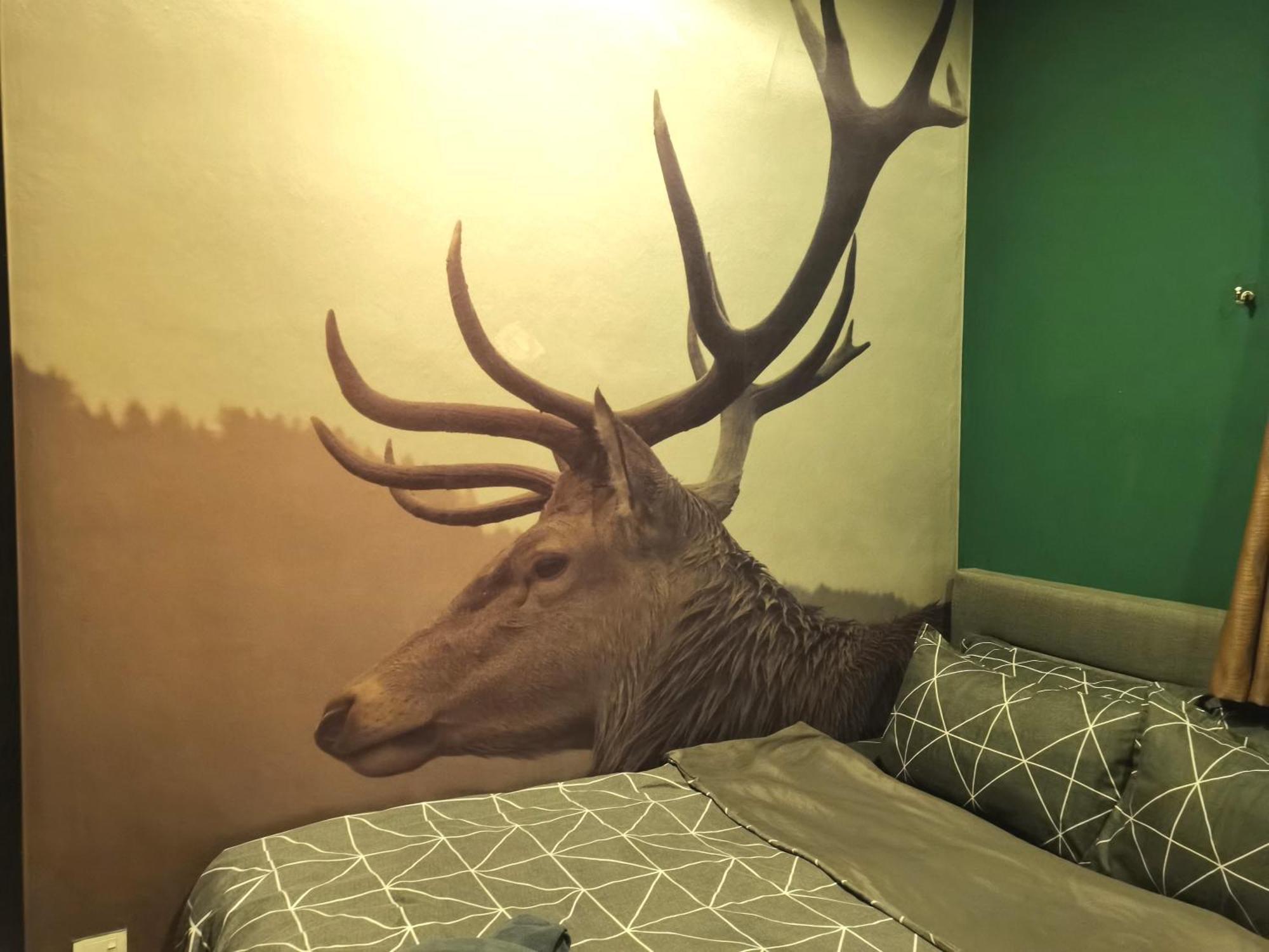 Cozy Forest Themed Homestay 4 Bedroom Куала-Лумпур Екстер'єр фото